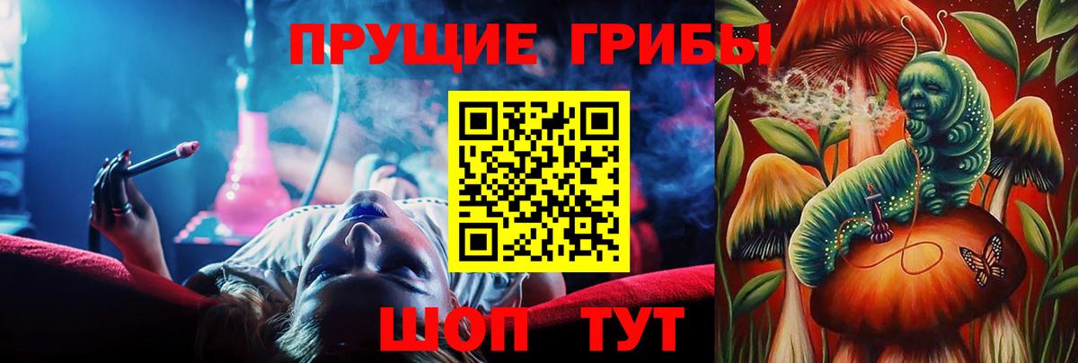 Сегежа  даркнет сайт  Вход с VPN  Галлюциногенные грибы GOLDEN TEACHER 