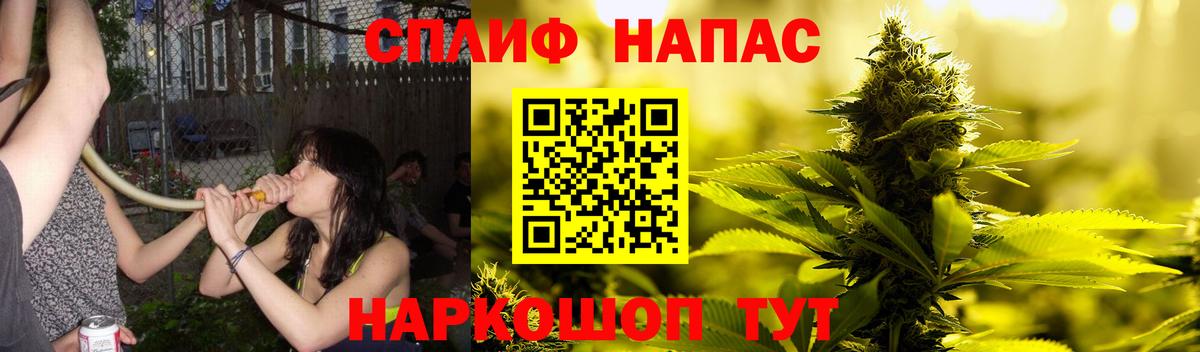 Каннабис планчик Сегежа